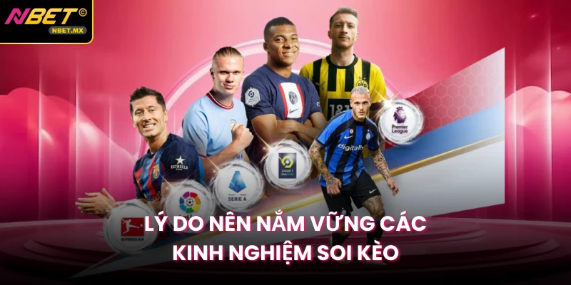 Lý do nên nắm vững các kinh nghiệm soi kèo