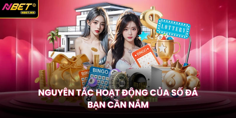 Nguyên tắc hoạt động của số đá bạn cần nắm